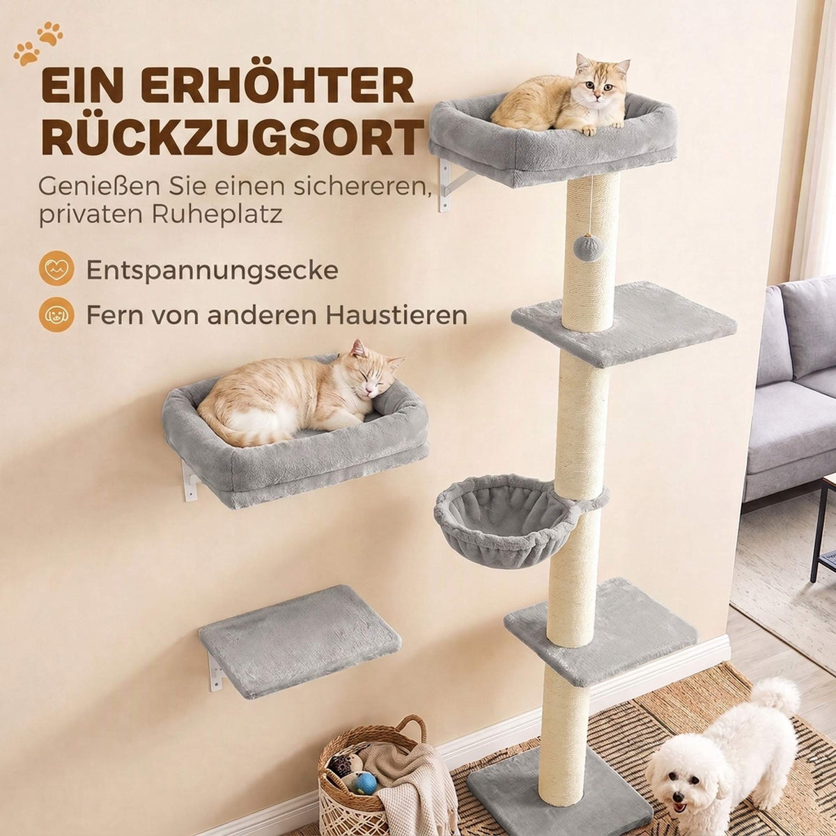 Cat Wall Climbing Set with Hammock and Platforms