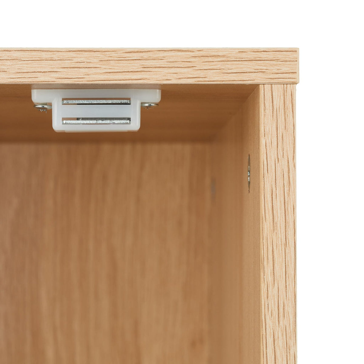 Cat cabinet with hinged door