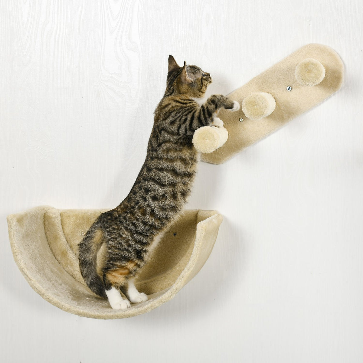Cat climbing wall 4 pieces, climbing cat scratching post with cat stairs, hammock, jumping platform, wall scratching post, wall cat furniture, up to 5 kg