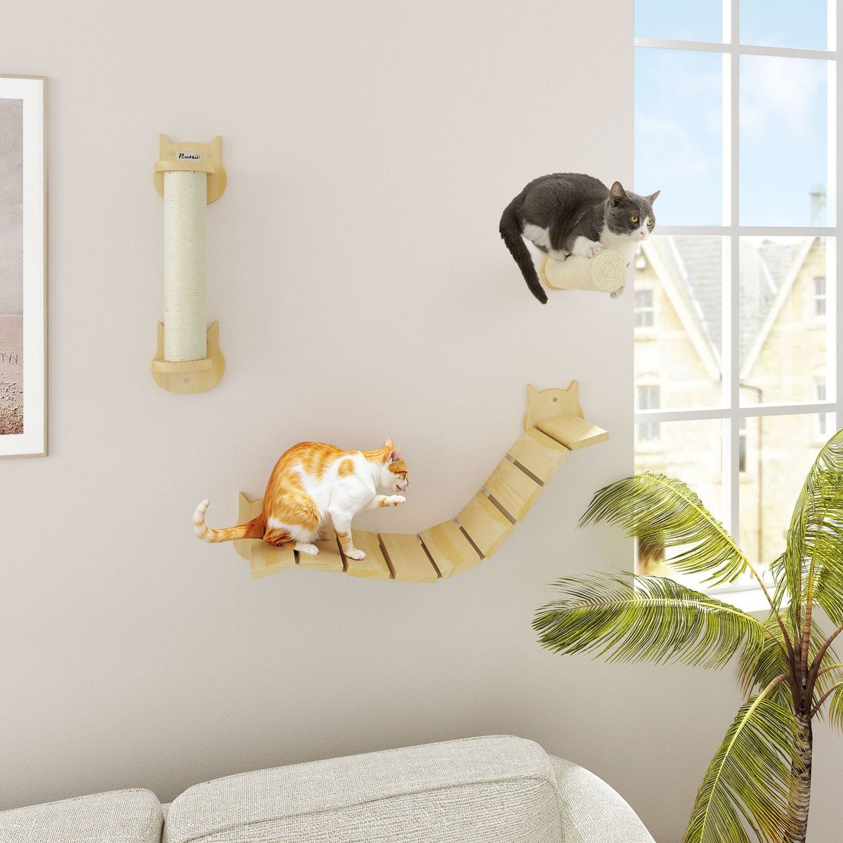 Cat climbing wall set, 3-piece cat furniture with scratching post, step plate, ladder, wall scratching post for cats up to 5 kg, made of pine wood, natural wood