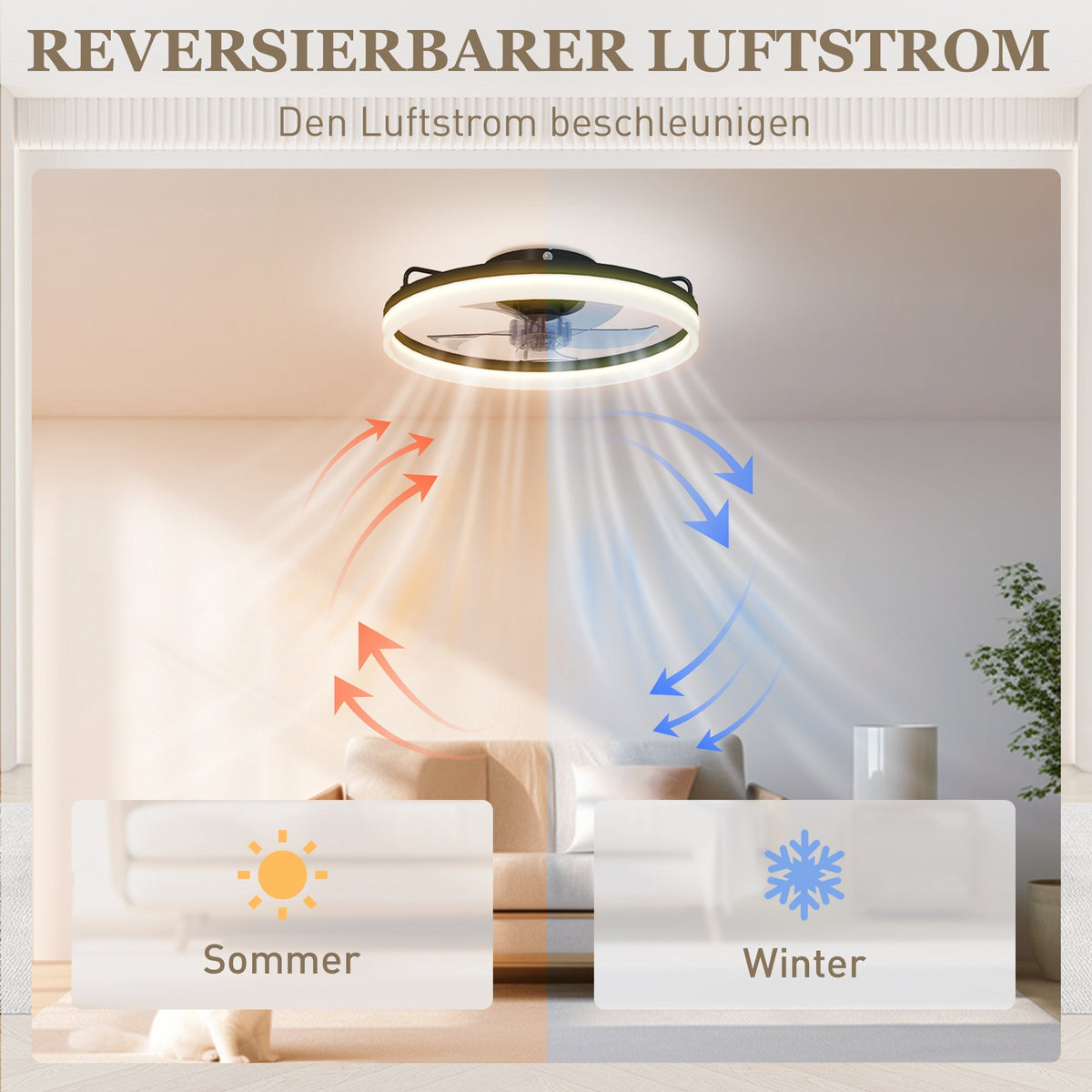 Ceiling Fan with Light, Remote, 50cm, 3 Colors, 6 Speeds