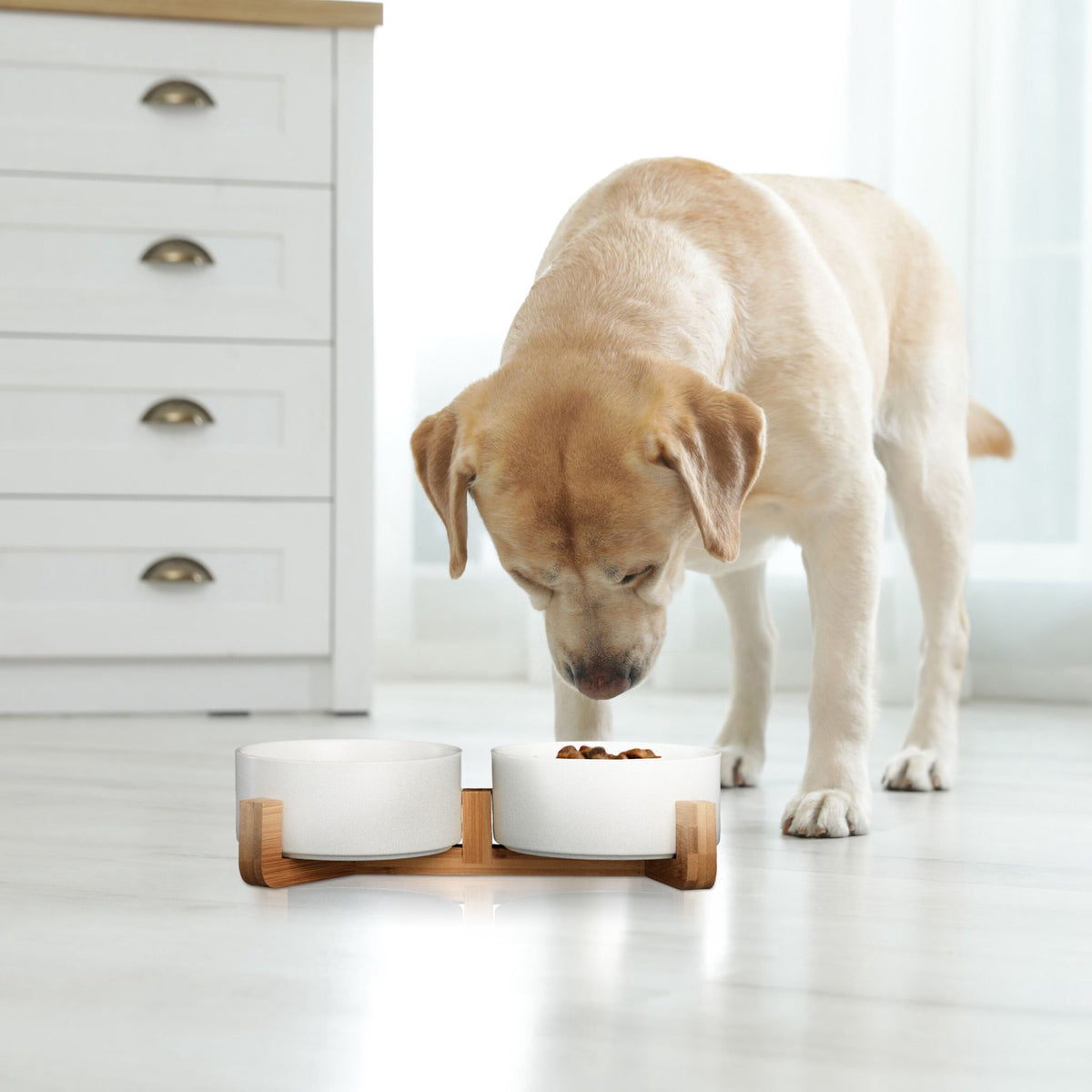 Ceramic dog bowl with bamboo frame