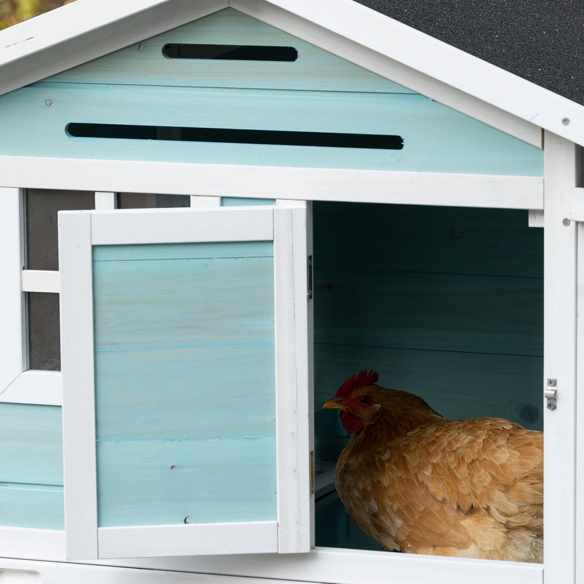 Chicken Coop Winterproof Chicken House With 2 Levels, Nesting Box & Ramp, Easy To Clean, Fir Wood/Steel/Asphalt, Blue, 193X78X115Cm