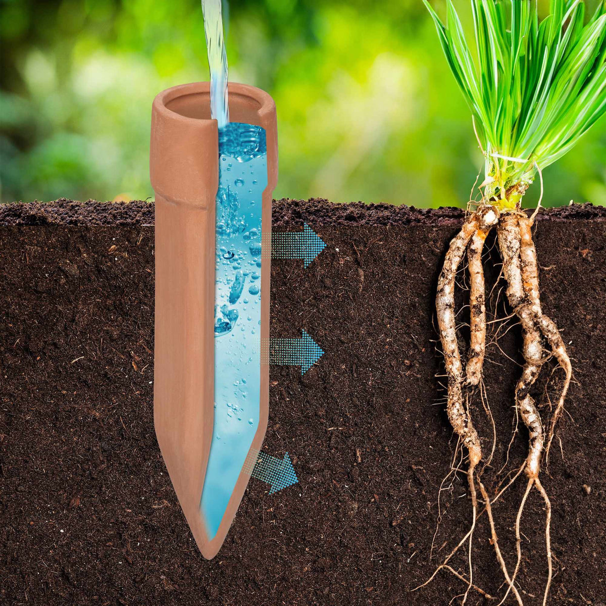 Clay cone for irrigation 4 pcs