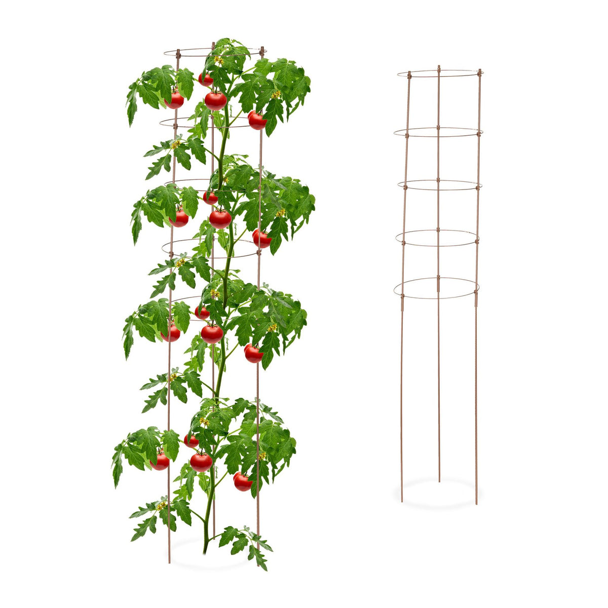 Climbing Plant Support, 150 cm, Set of 2, Brown