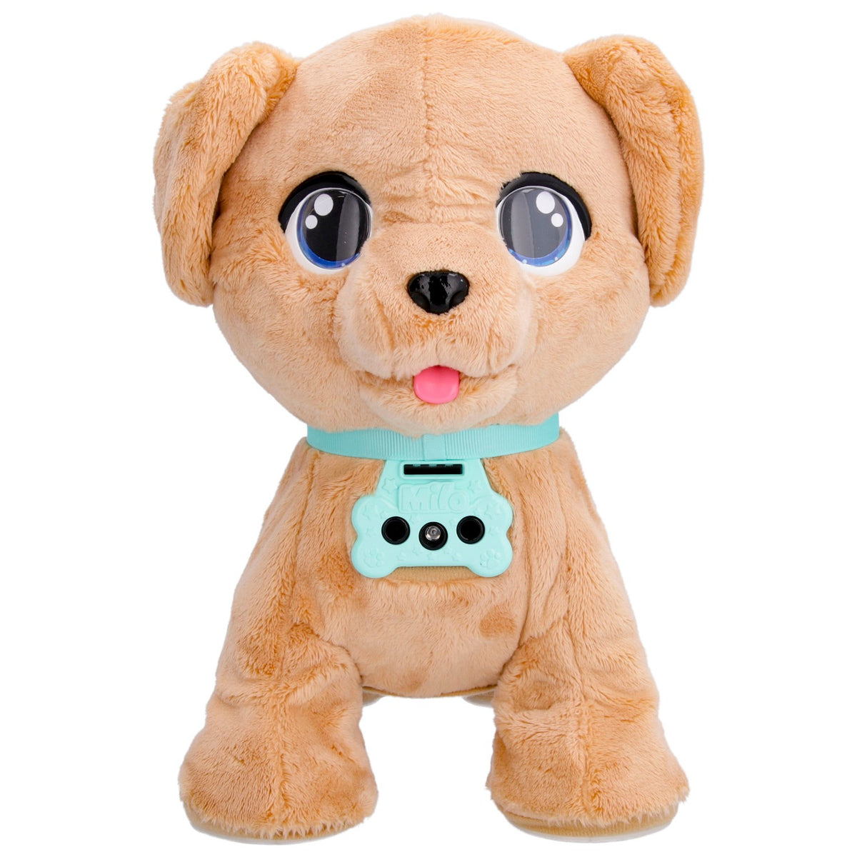 Club Petz Milo