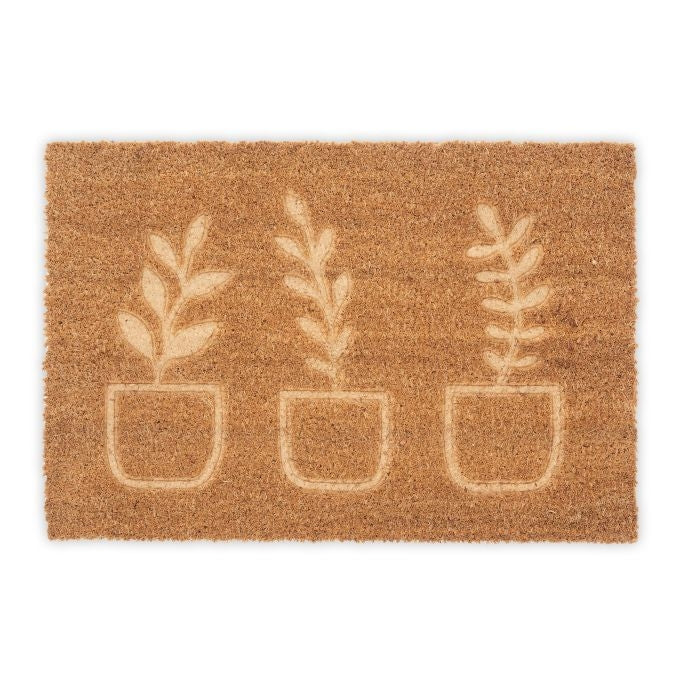 Coconut doormat plants