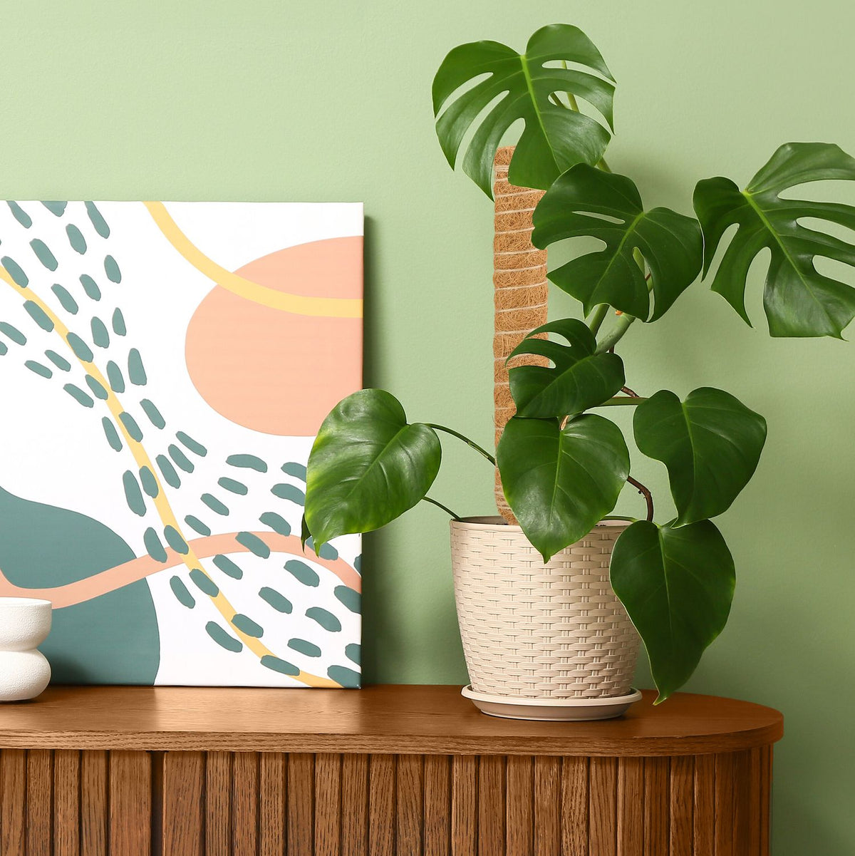 Coconut sticks 4-pack 40 cm with floral wire