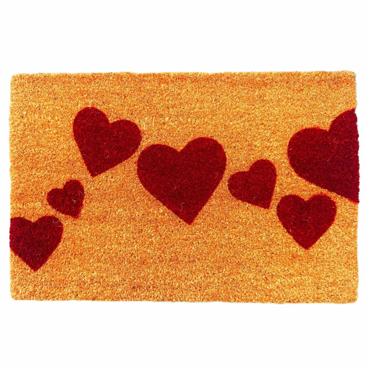 Coir Doormat, 60x40 cm, Dirt-Trapping, Decorative Design
