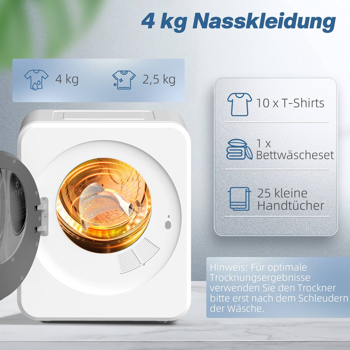 Compact 4kg Front Load Dryer with Stainless Drum, 800W