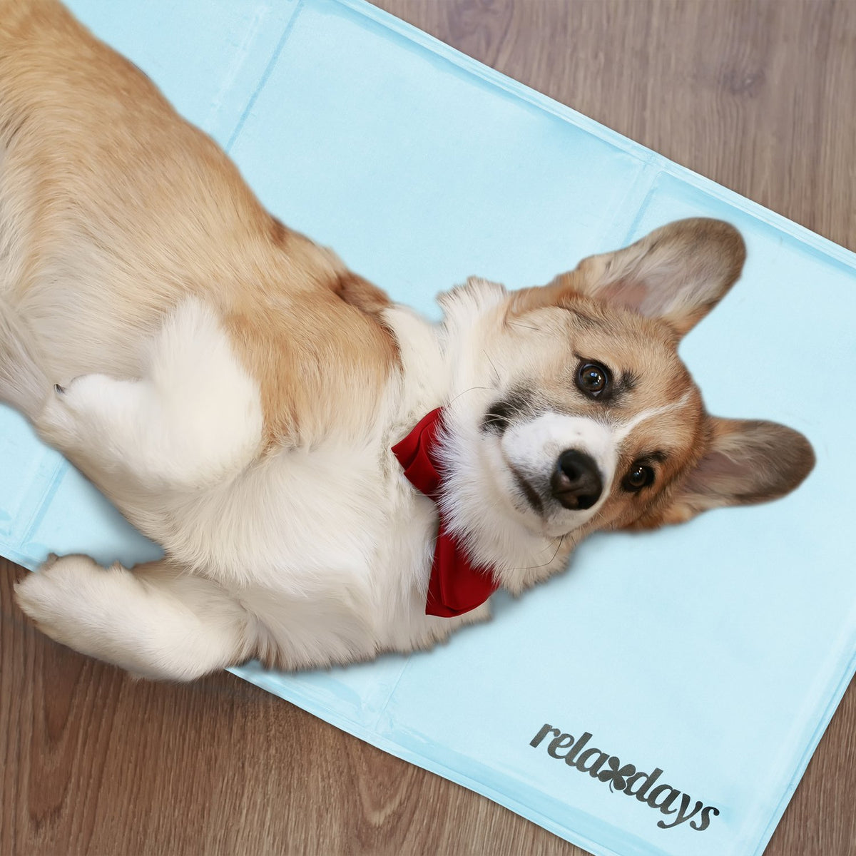 Cooling mat for dogs