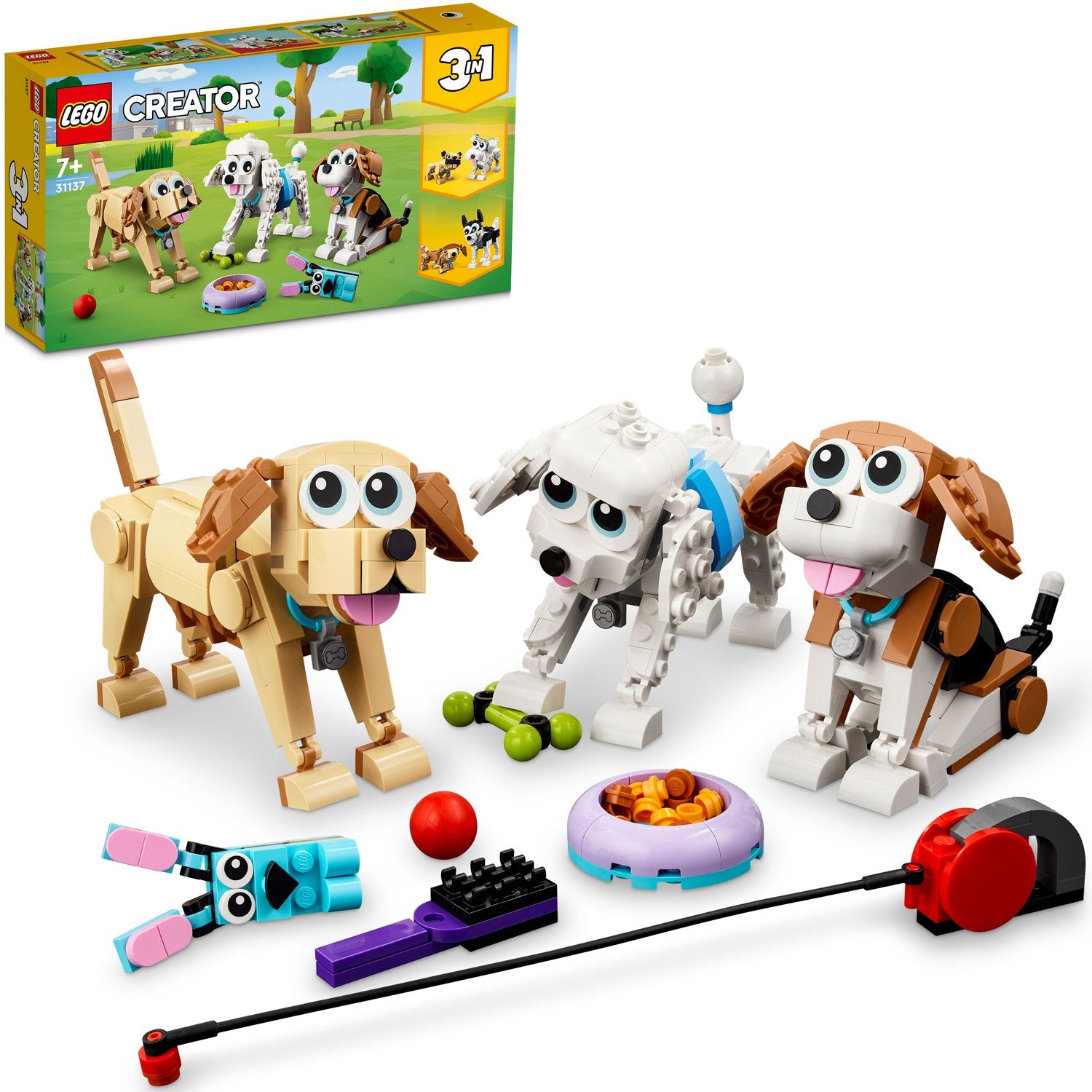 Creator - Cute Dogs 31137