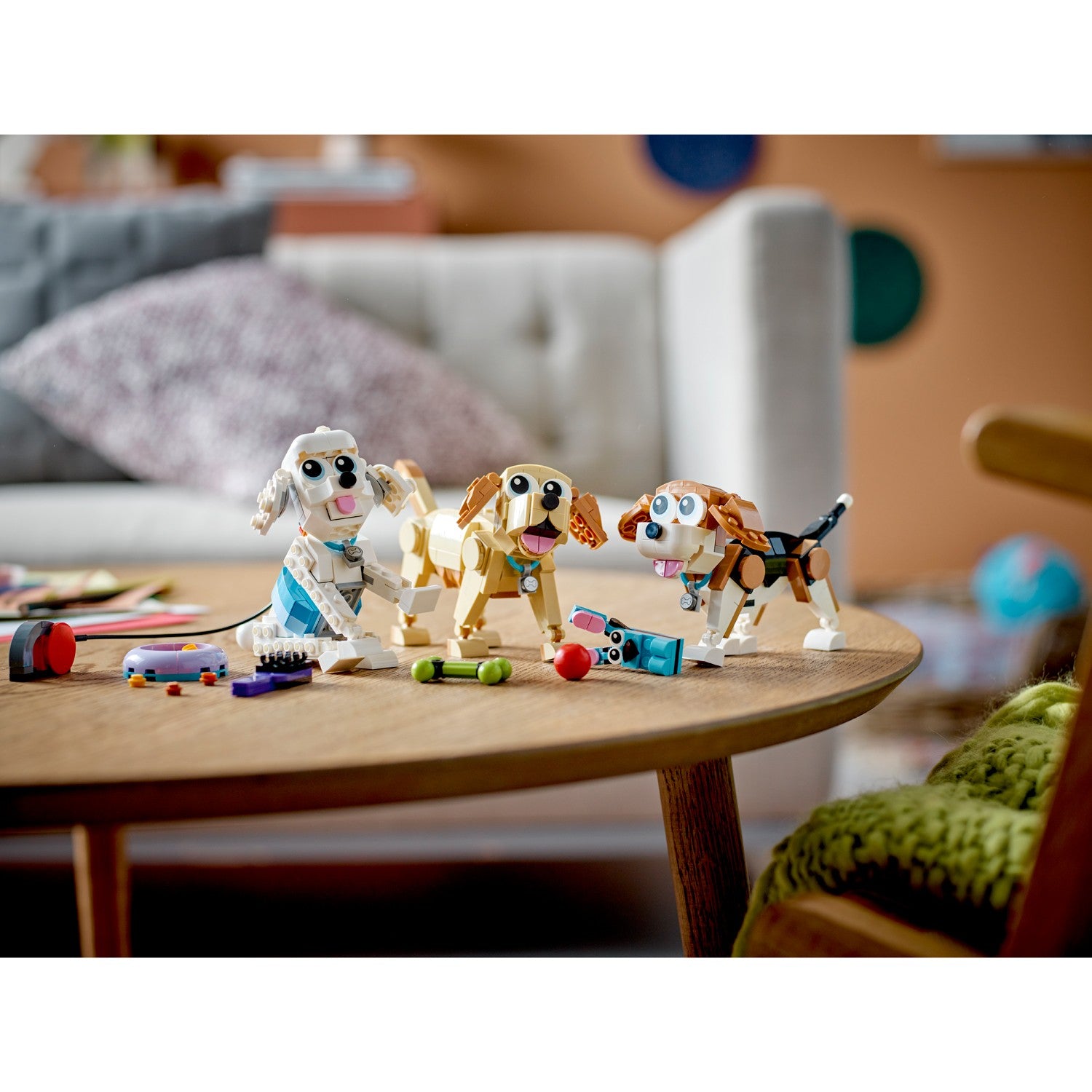 Creator - Cute Dogs 31137