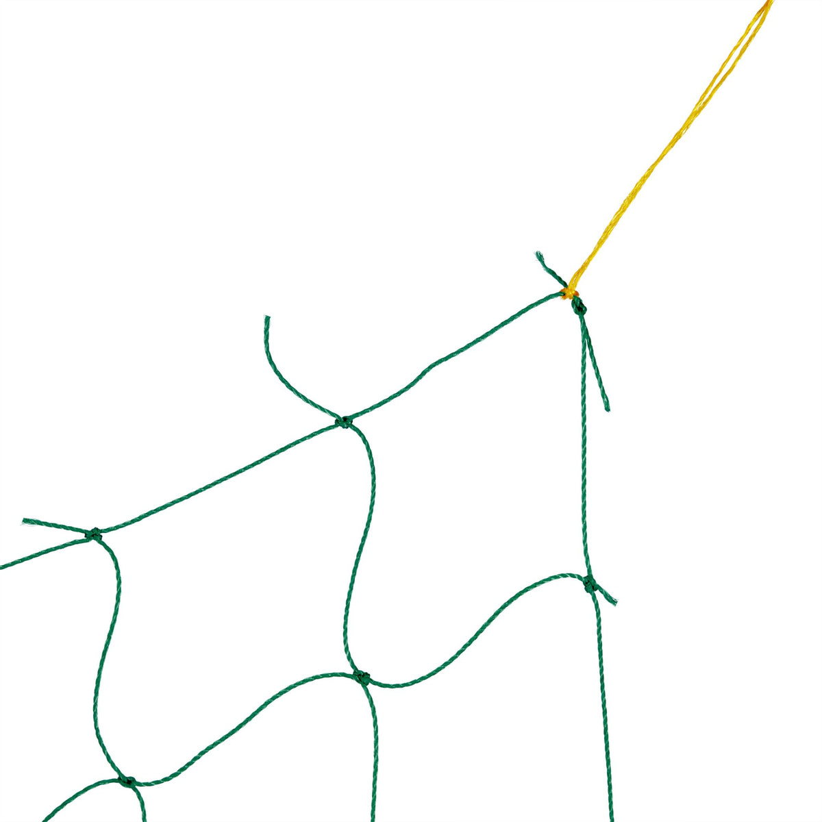Creeper Net 180 x 360 cm