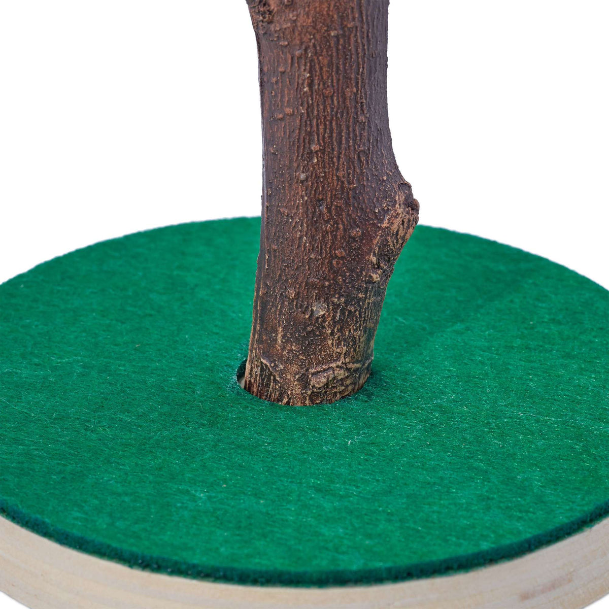 Crown cork tree