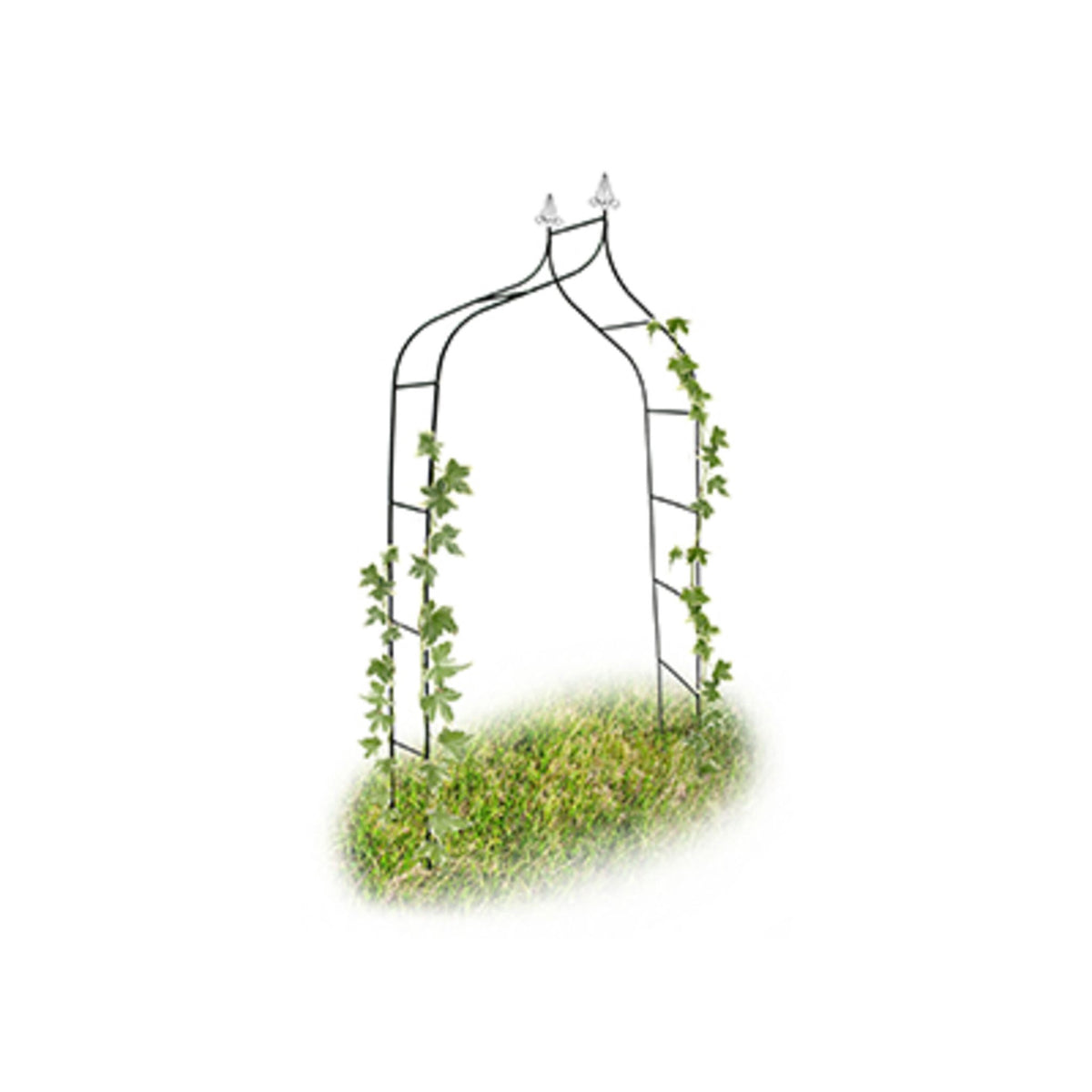 Curved Metal Rose Arch with Pointed Top