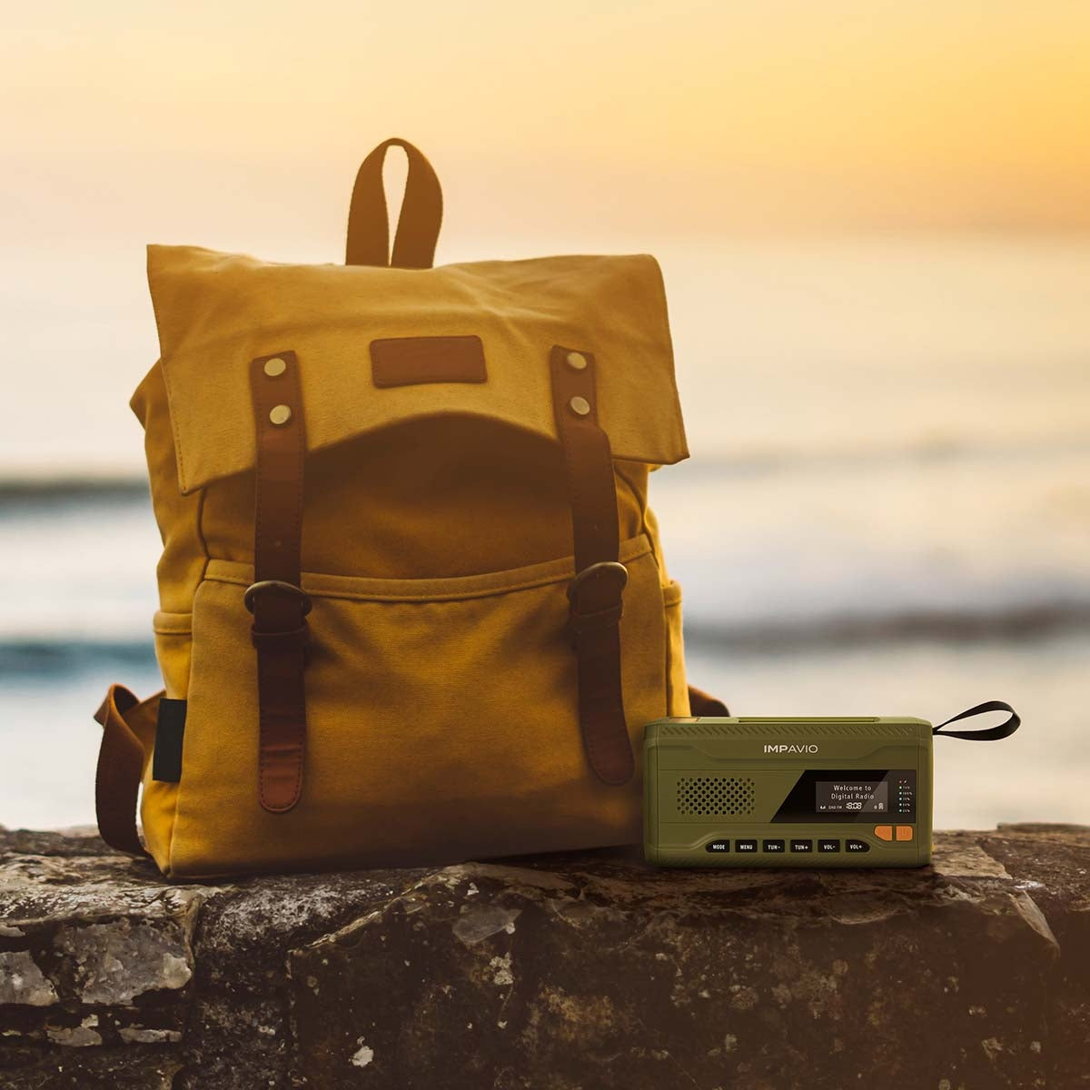 DAB1 Robust DAB+/FM outdoor radio