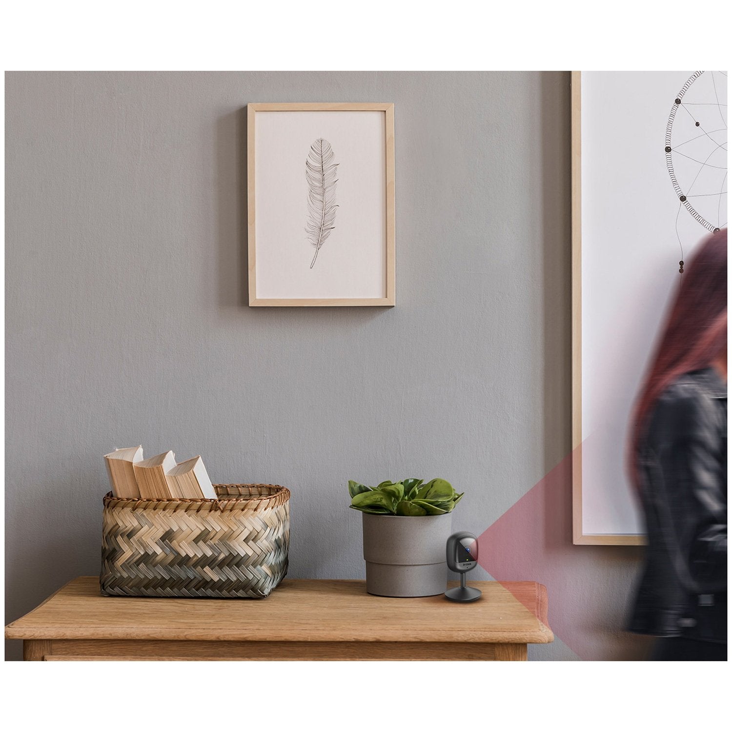 DCS-6100LH Full HD WiFi Camera