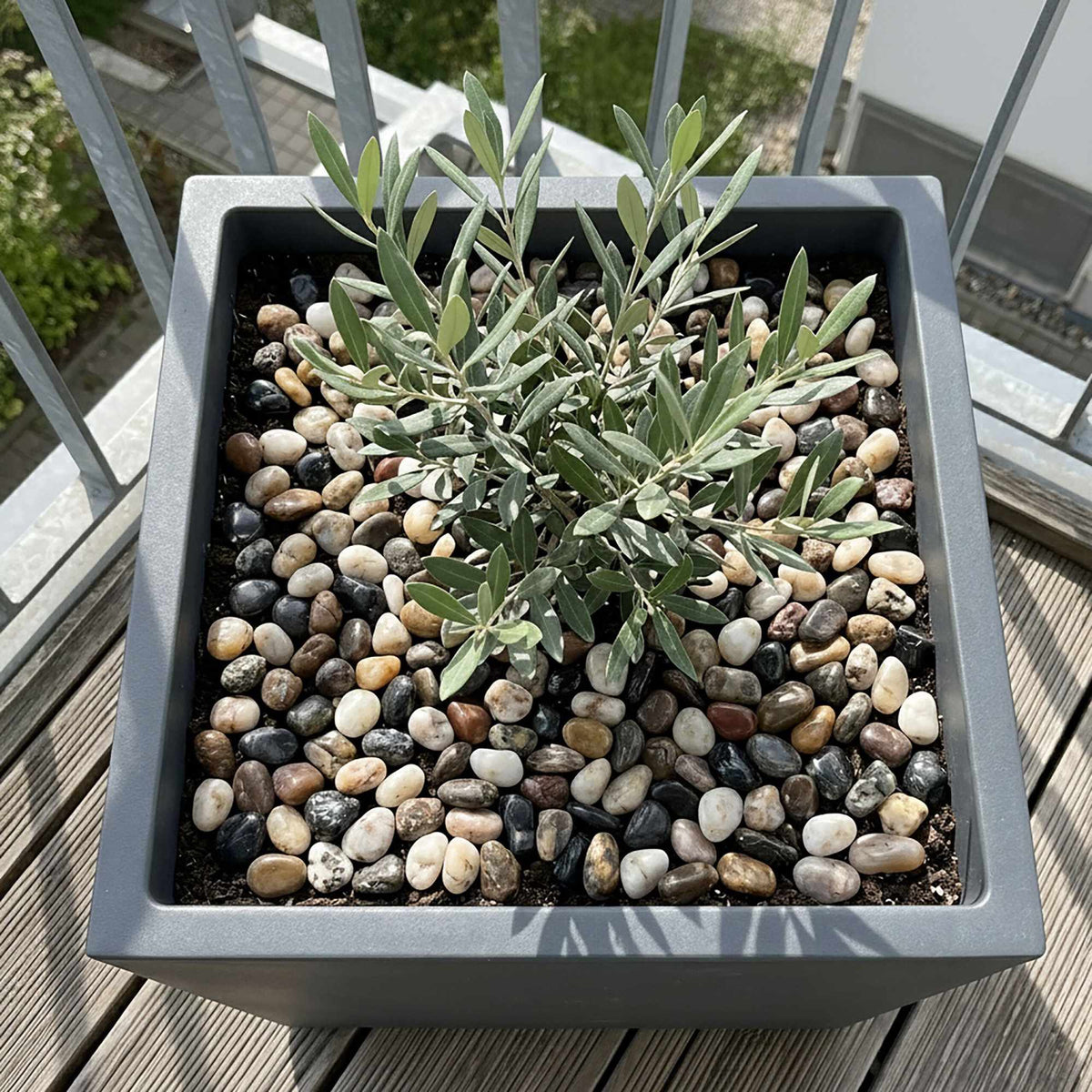 Decorative Mixed River Pebbles, 2kg – Natural Stone 20–40mm