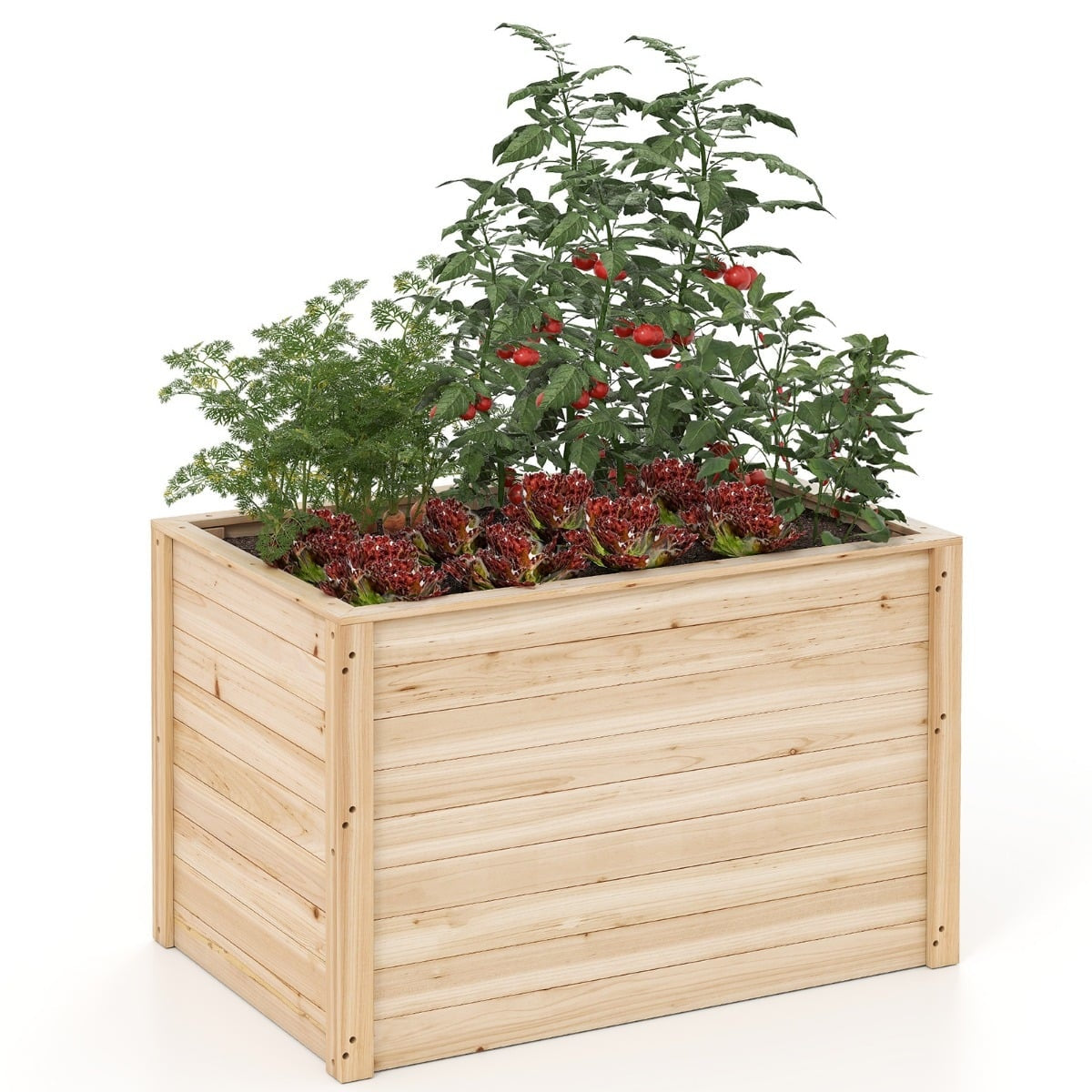 Deep Raised Garden Bed with Open Base, 100x64x65.5 cm
