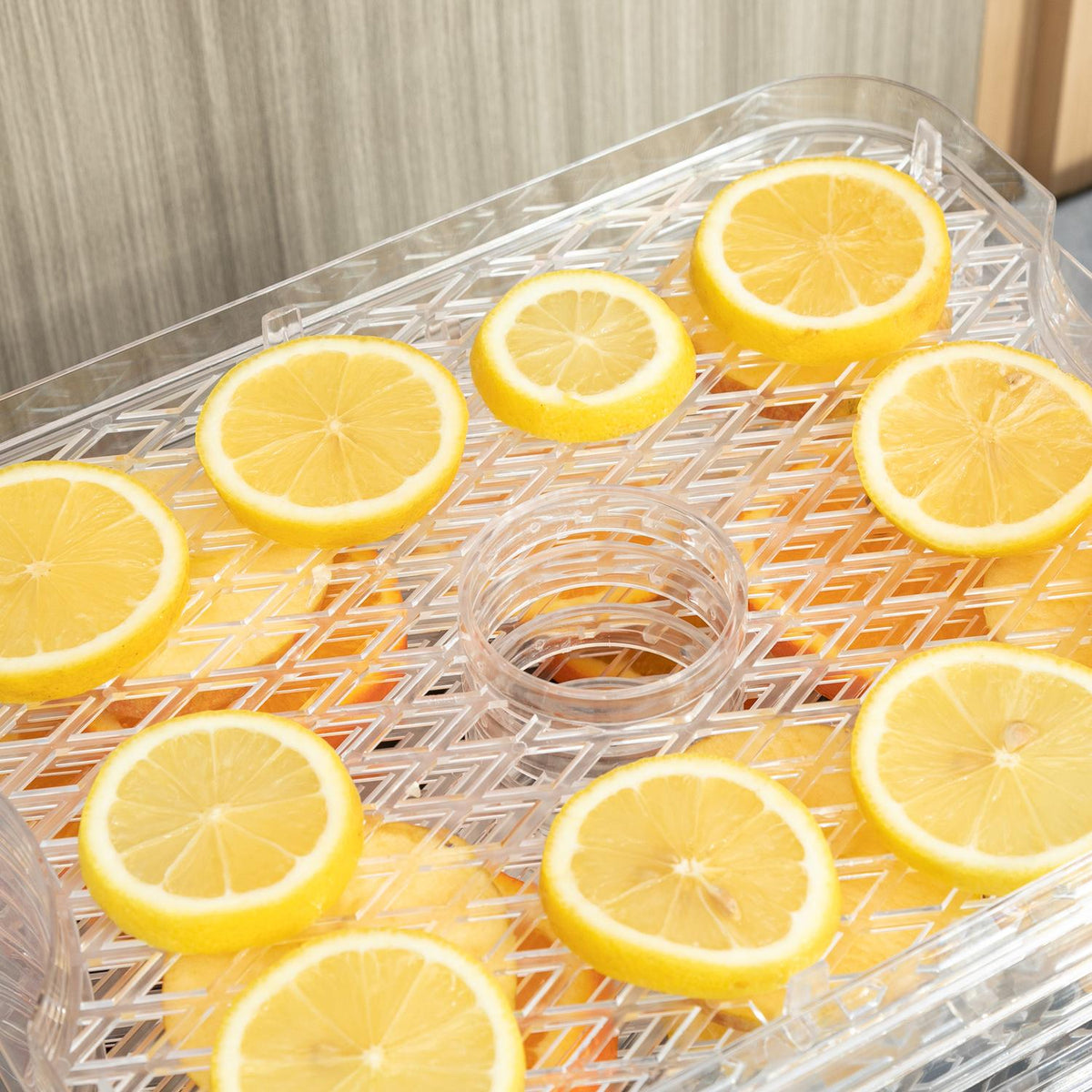Dehydrator With Temperature Controller (35-70°C) 5 Levels 12 Hour Timer For Meat Fruit Stainless Steel Silver + Transparent 32 X 25 X 29Cm