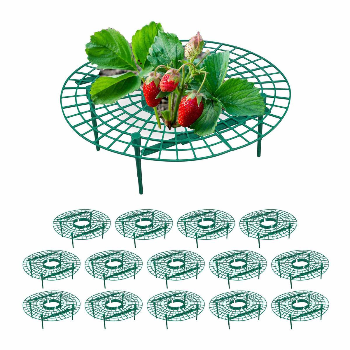 Dense mesh bird net set of 3