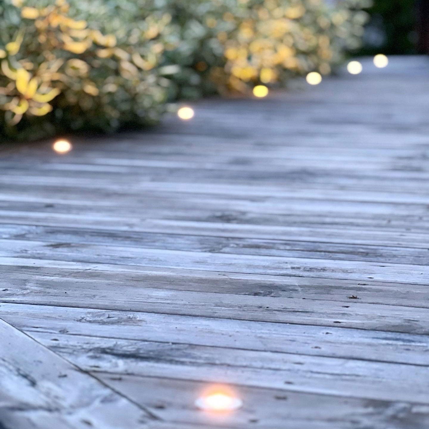 Dexter Decklight 10-pack Silver Starter Pack