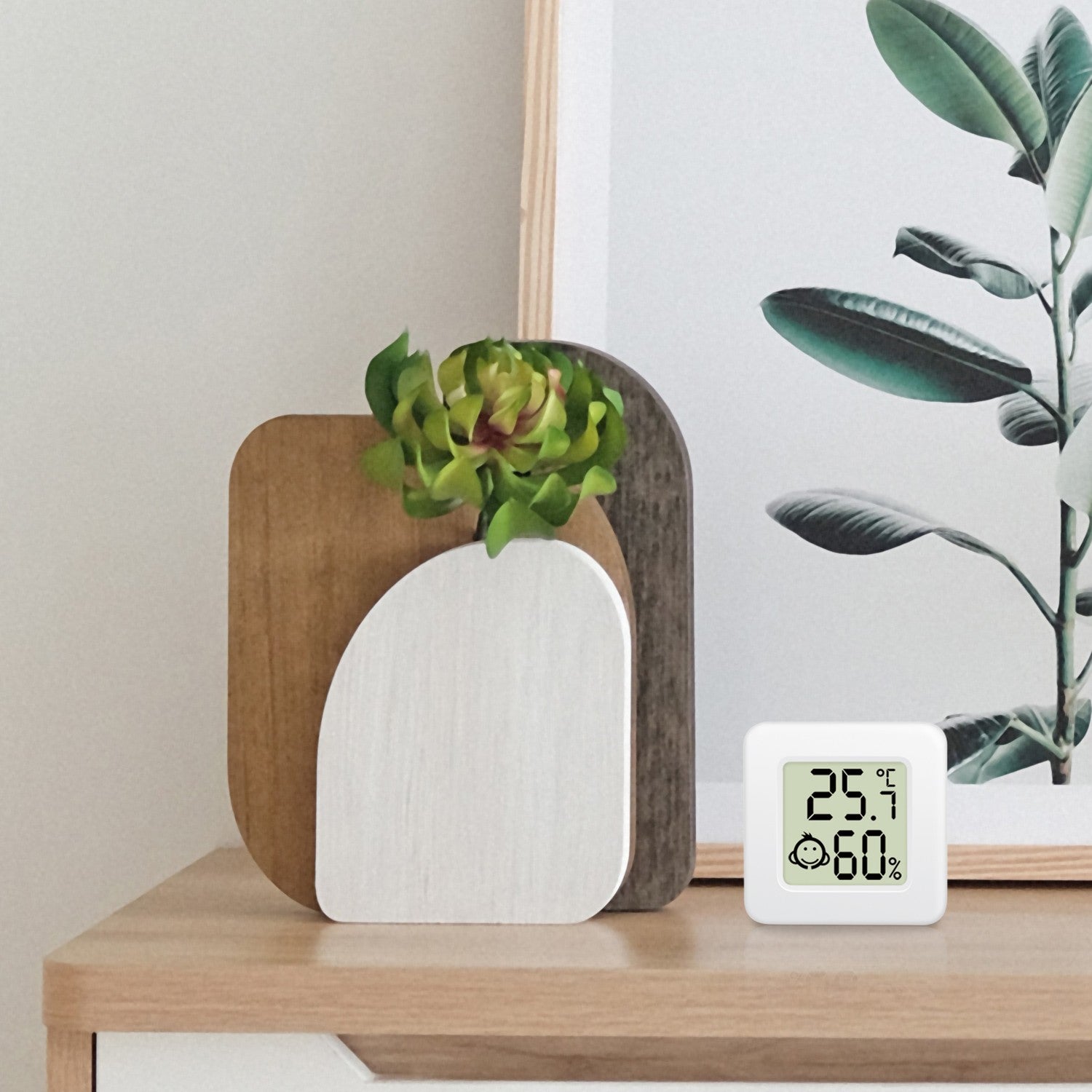 Digital Mini thermometer/hygrometer 3-pack