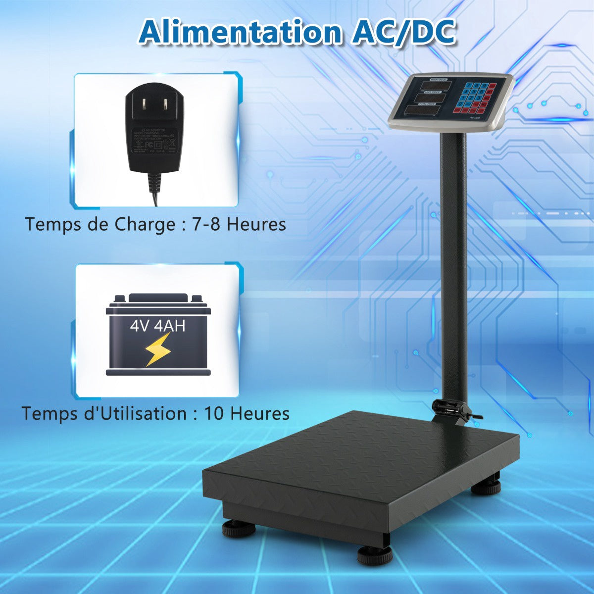 Digital Platform Scale 300 kg, 0.05 kg, Price Calculator