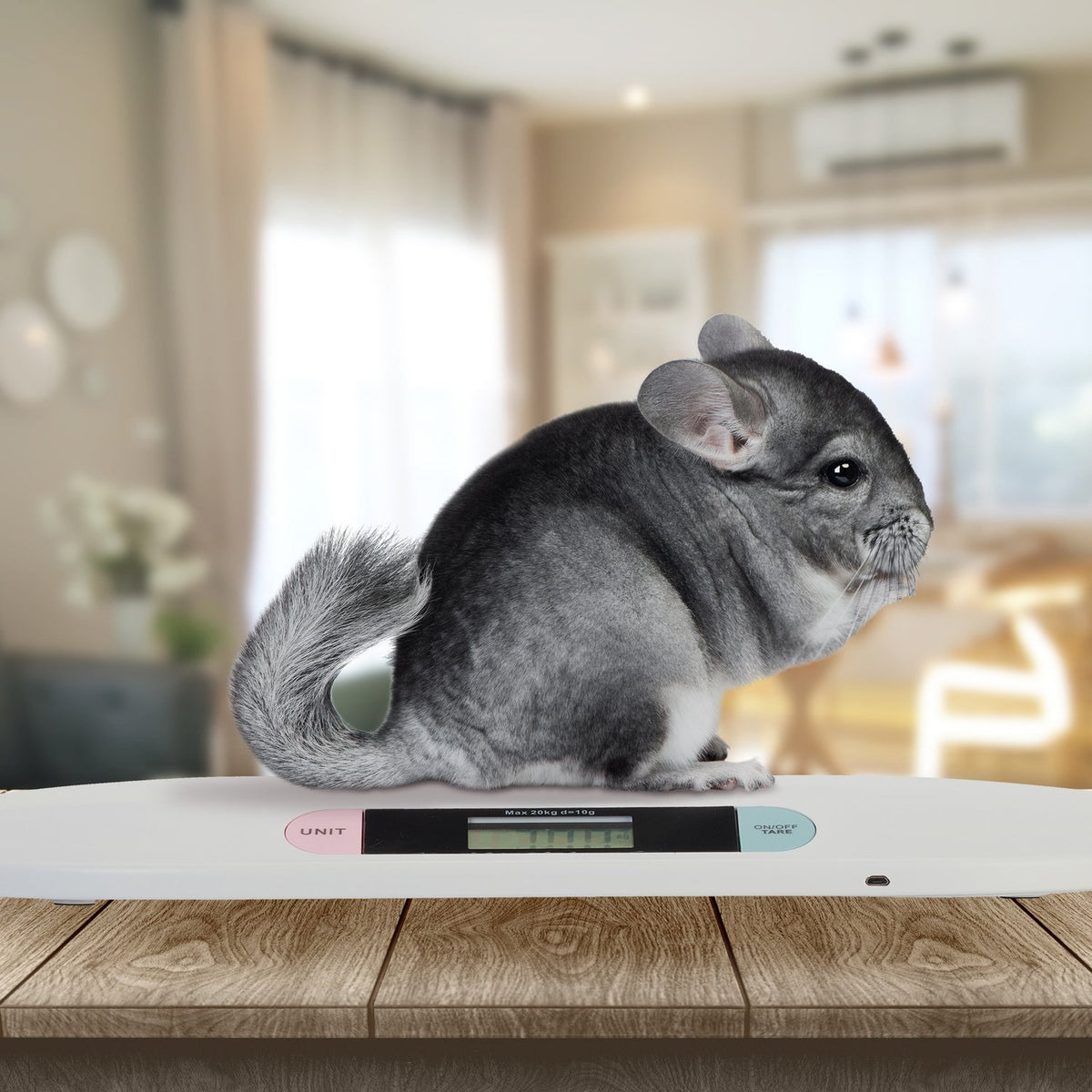 Digital baby scale with USB cable