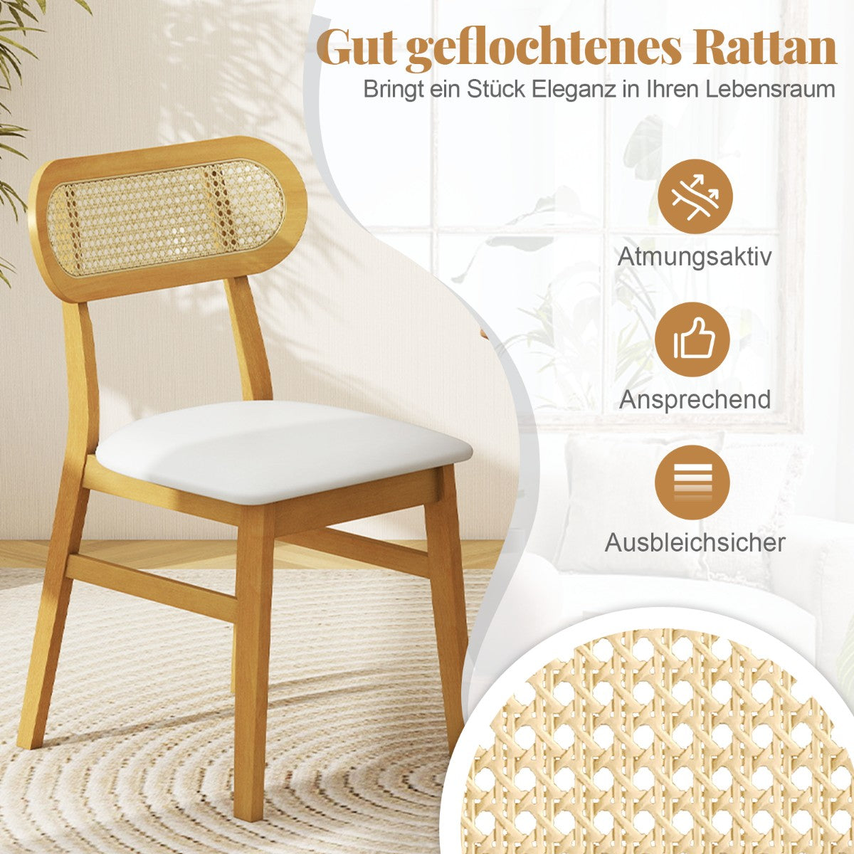 Dining Chairs Set of 2, Wood Frame, Padded Seat, White