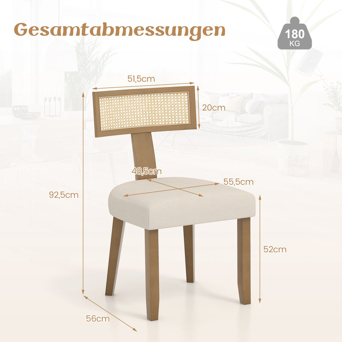 Dining Chair with Rattan Back, Padded Seat & Wood Legs