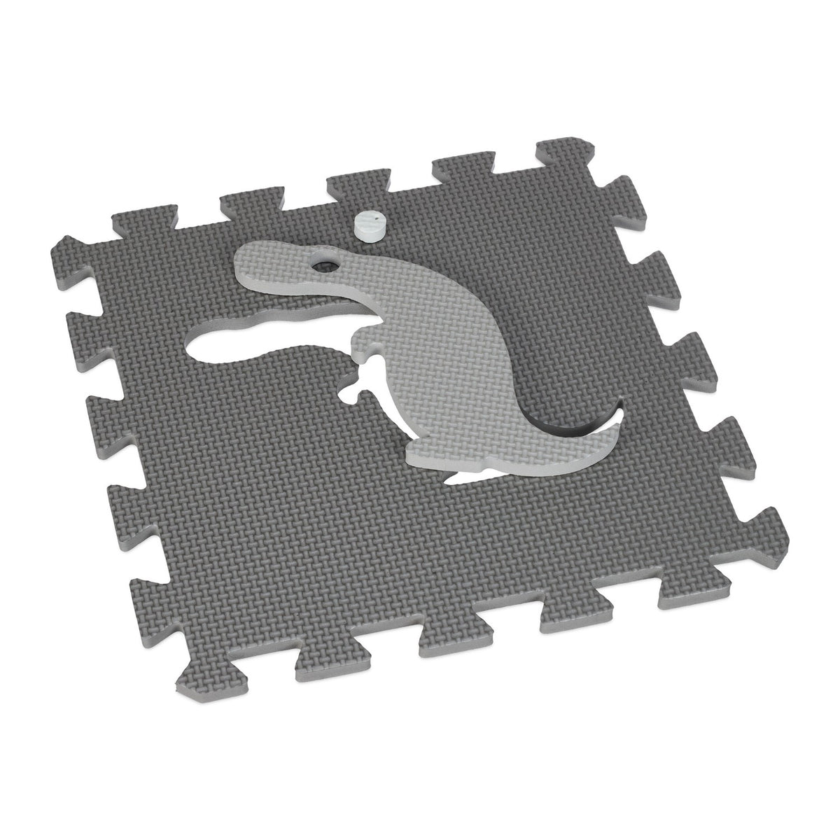 Dinosaur puzzle mat with border