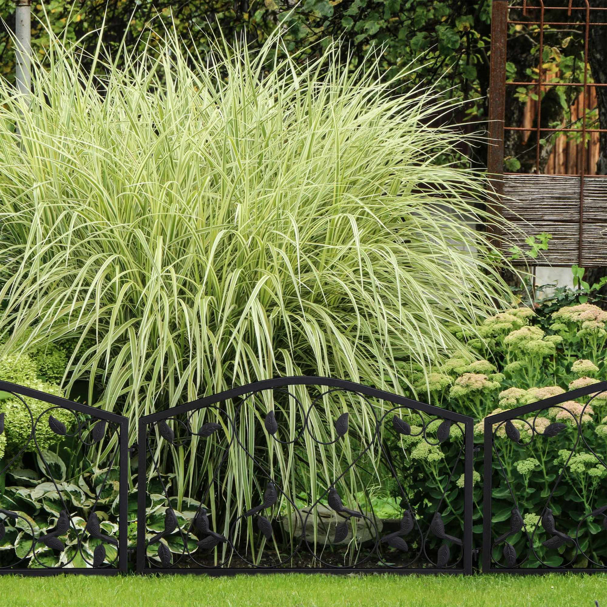 Discount fence 4 panels antique style