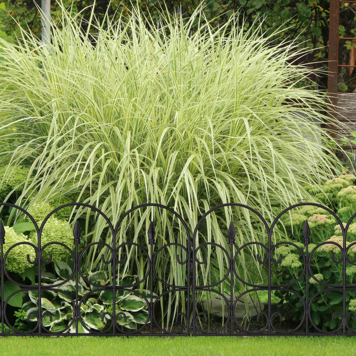 Discount fence plastic black/white