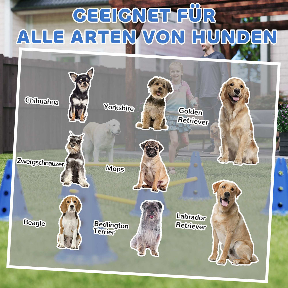 Dog Agility Set – 3-Piece Training Kit with 6 Cones, 3 Hurdles