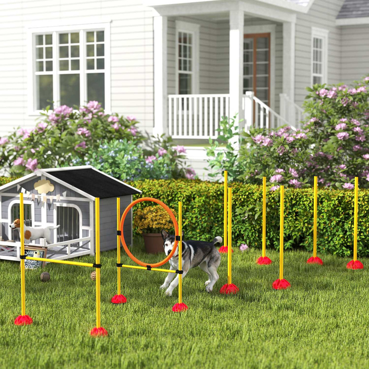 Dog Agility Set, 4-piece fillable agility equipment for dog training, hurdle set with slalom poles, height-adjustable, hurdles, jump ring, coordination training for games, training