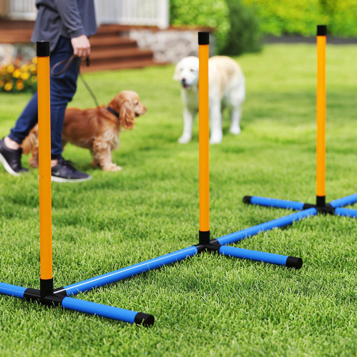 Dog Agility Set 9 Pieces Agility Equipment for Dog Training Hurdle Set with Slalom Poles Jump Hoop 2 Balls Height Adjustable Hurdles Coordination Training for Games Training