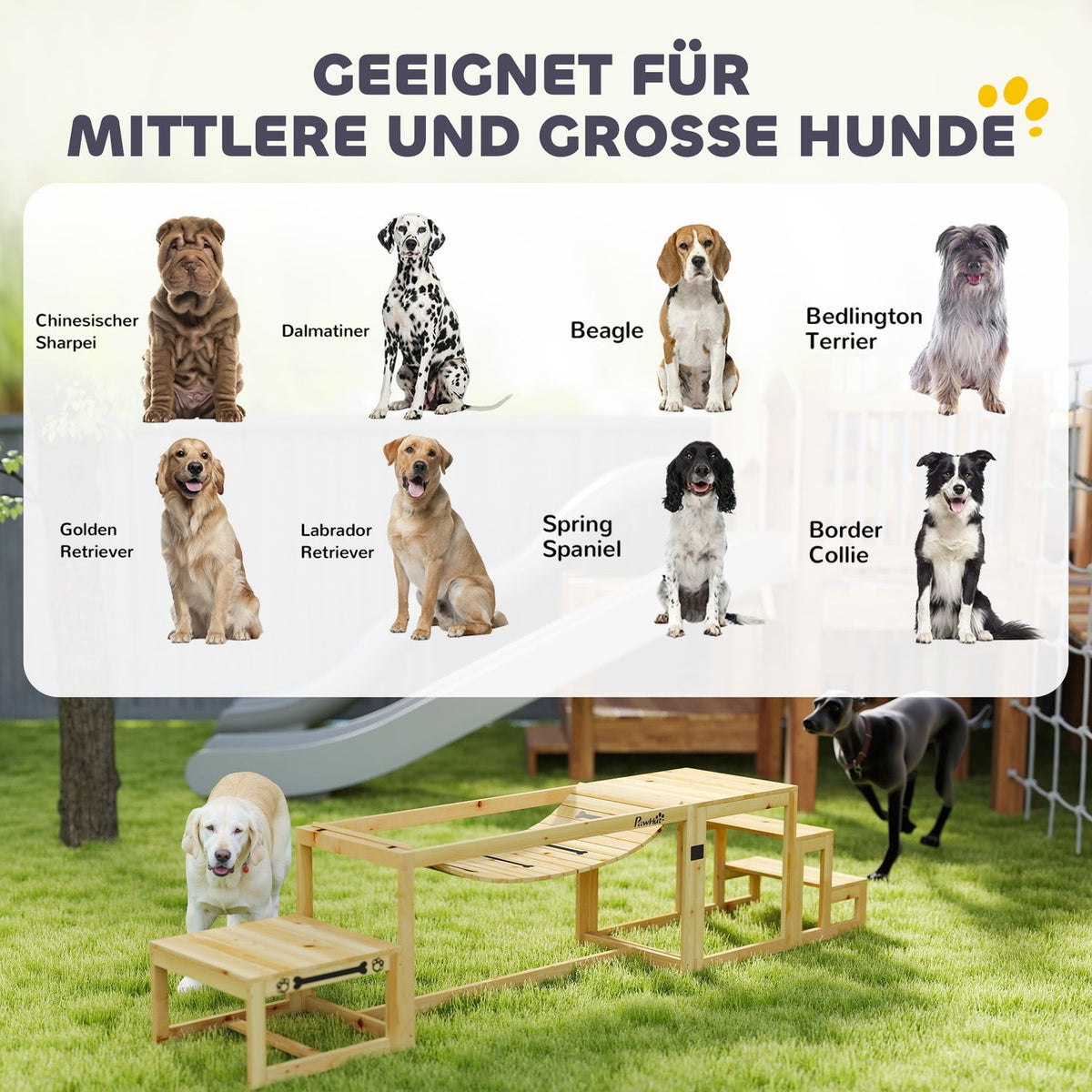 Dog Agility Set, Set of 4 Dog Training with Bridge, Stairs, Platform, Agility Equipment Made of Fir Wood for Large Dogs up to 40 kg, Natural Wood
