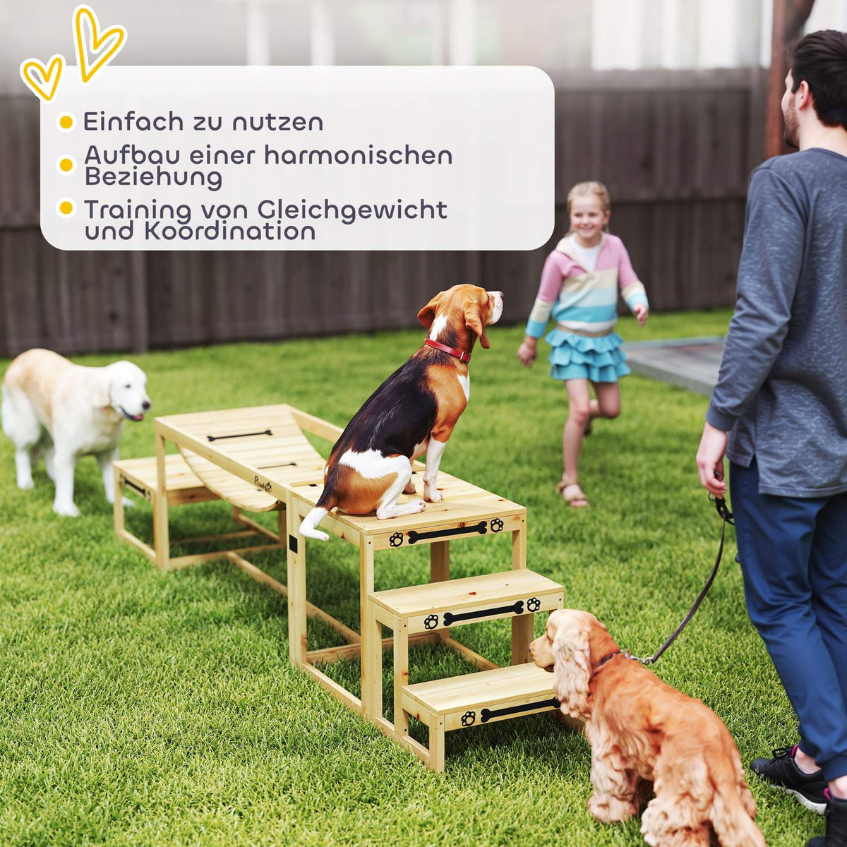 Dog Agility Set, Set of 4 Dog Training with Bridge, Stairs, Platform, Agility Equipment Made of Fir Wood for Large Dogs up to 40 kg, Natural Wood