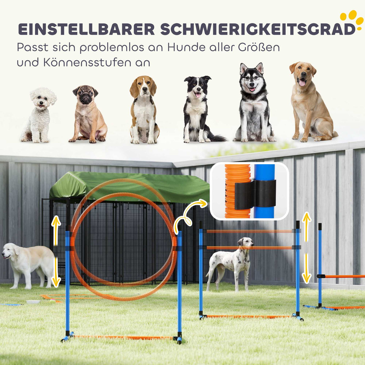 Dog Agility Set with Adjustable Jumps and Tunnel