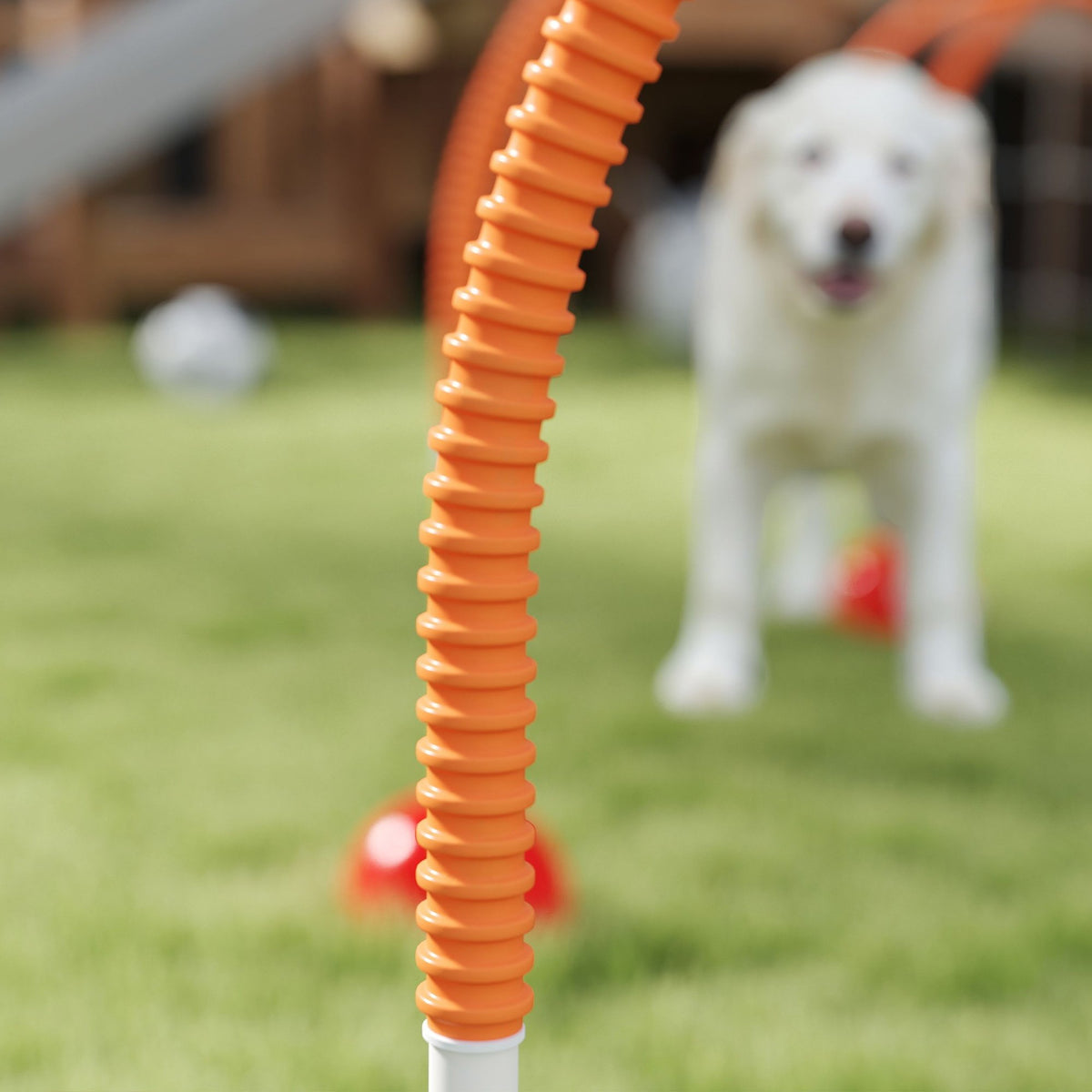 Dog Agility Training Set with 4 Adjustable Gates, Portable Bag