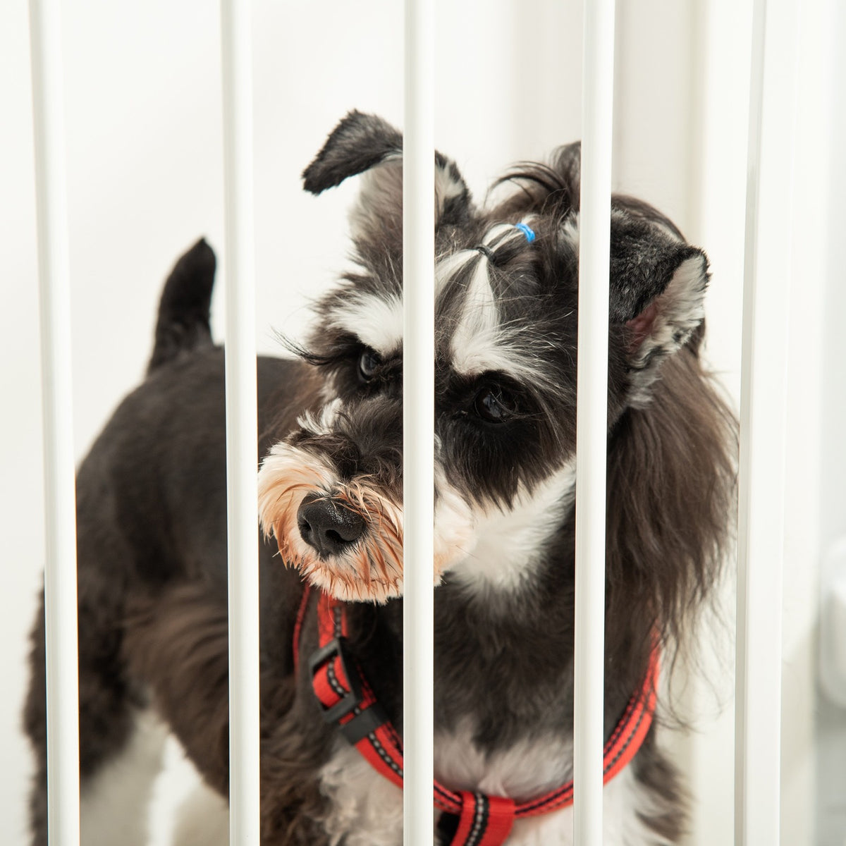 Dog Barrier Configurable Angle Adjustable Folding Automatic Door
