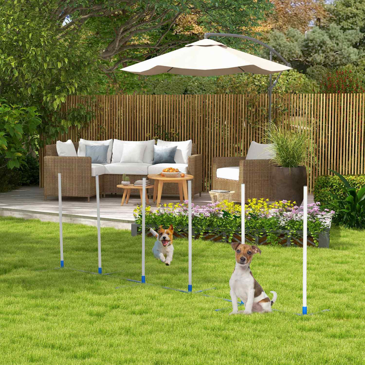 Dog Slalom Poles Agility Training For Pets Dog Training Set Including 600D Bag Polyester Plastic White + Blue 305 X 60 X 94 Cm