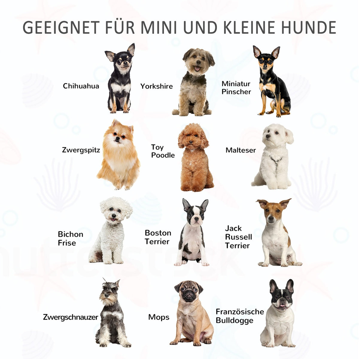 Dog Sofa Dog Couch With Storage Space, Pet Bed For Dogs & Cats