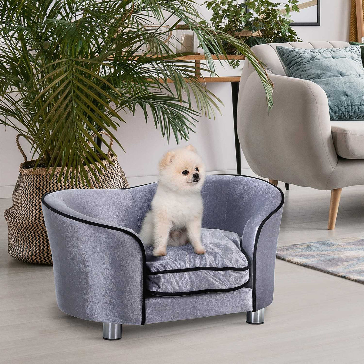 Dog Sofa Luxury Pet Sofa With Cushion Cat Sofa Raised Dog Bed Dog Couch Animal Bed Plush Fir Wood Light Gray 69 X 49 X 38 Cm