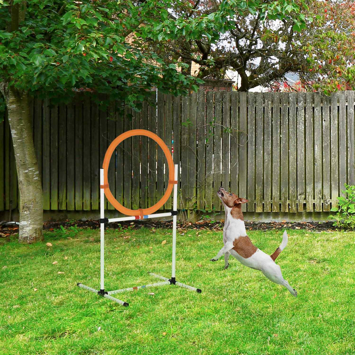 Dog Training Set Jumping Ring For Agility Training, Portable, Pe, White + Orange, 74.5X66X91Cm