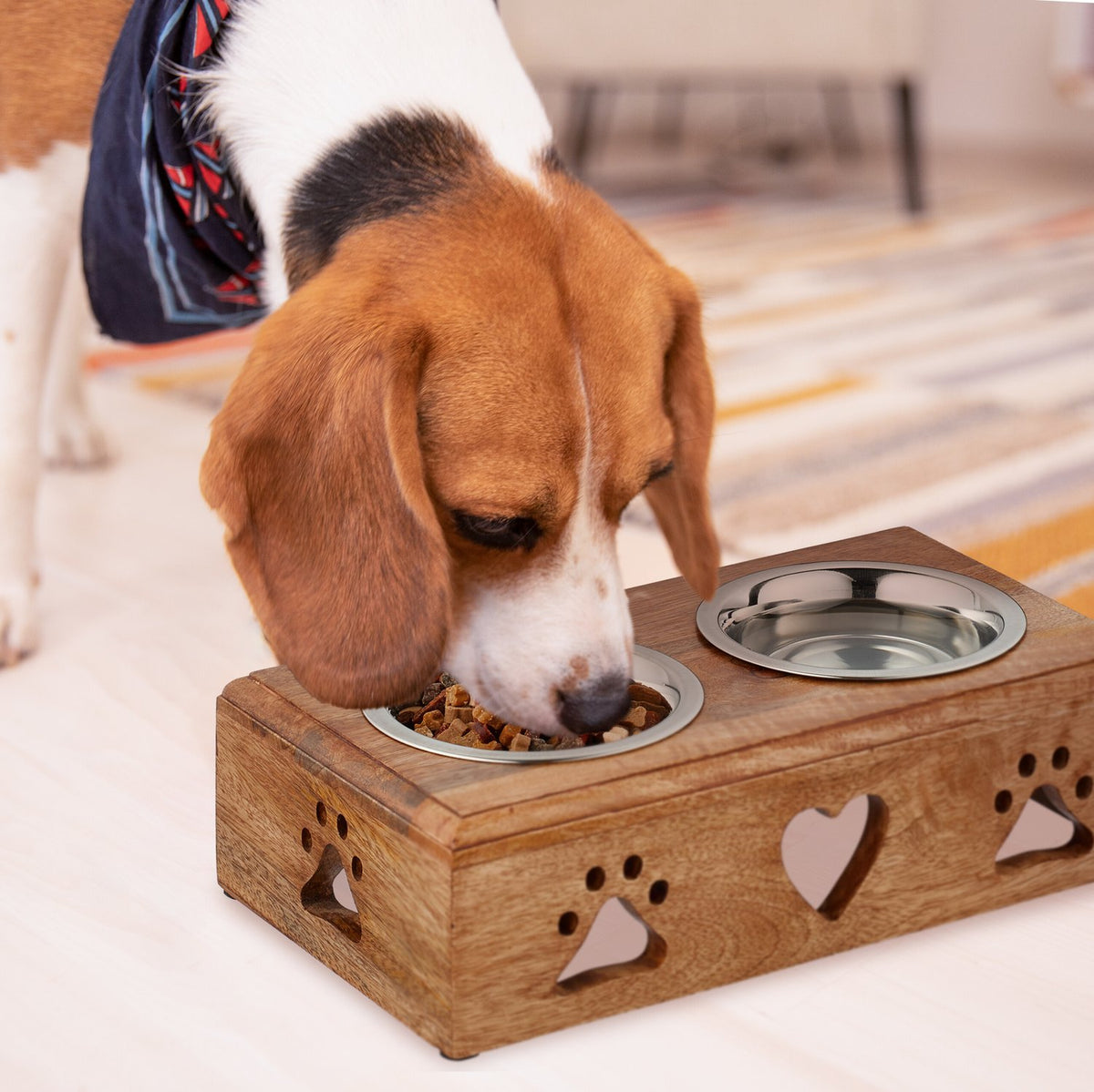 Dog bowl bar with 2 bowls