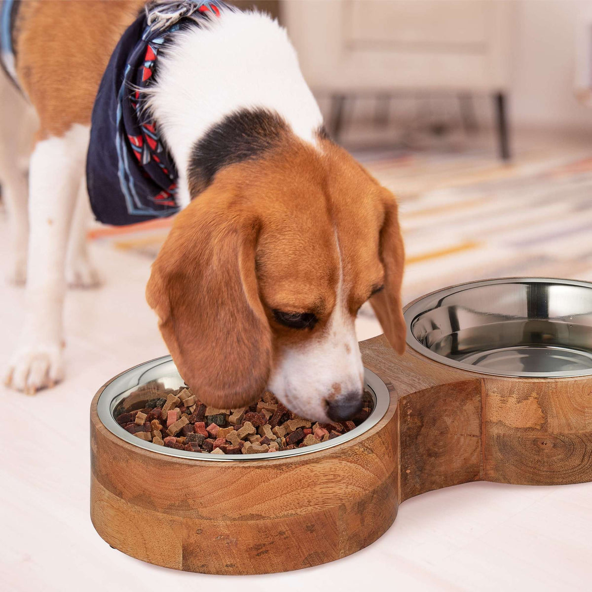 Dog bowl bar with 2 bowls