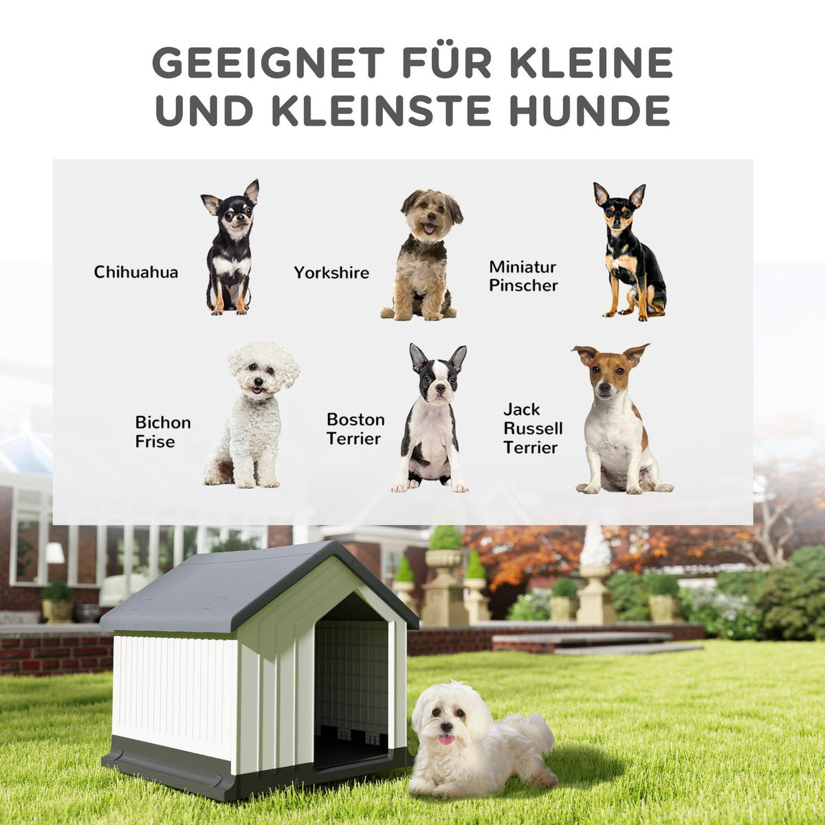 Dog house, dog house with asphalt roof, window, weatherproof small animal house, dog cave for mini and small dogs gray 62 x 61 x 60 cm